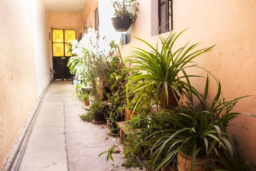 Сasa de vacaciones House Very Well Located In The Centro Histrico On A Calm Street *