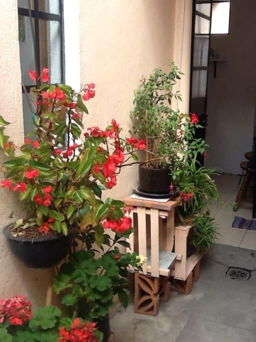 House Very Well Located In The Centro Histrico On A Calm Street * Querétaro